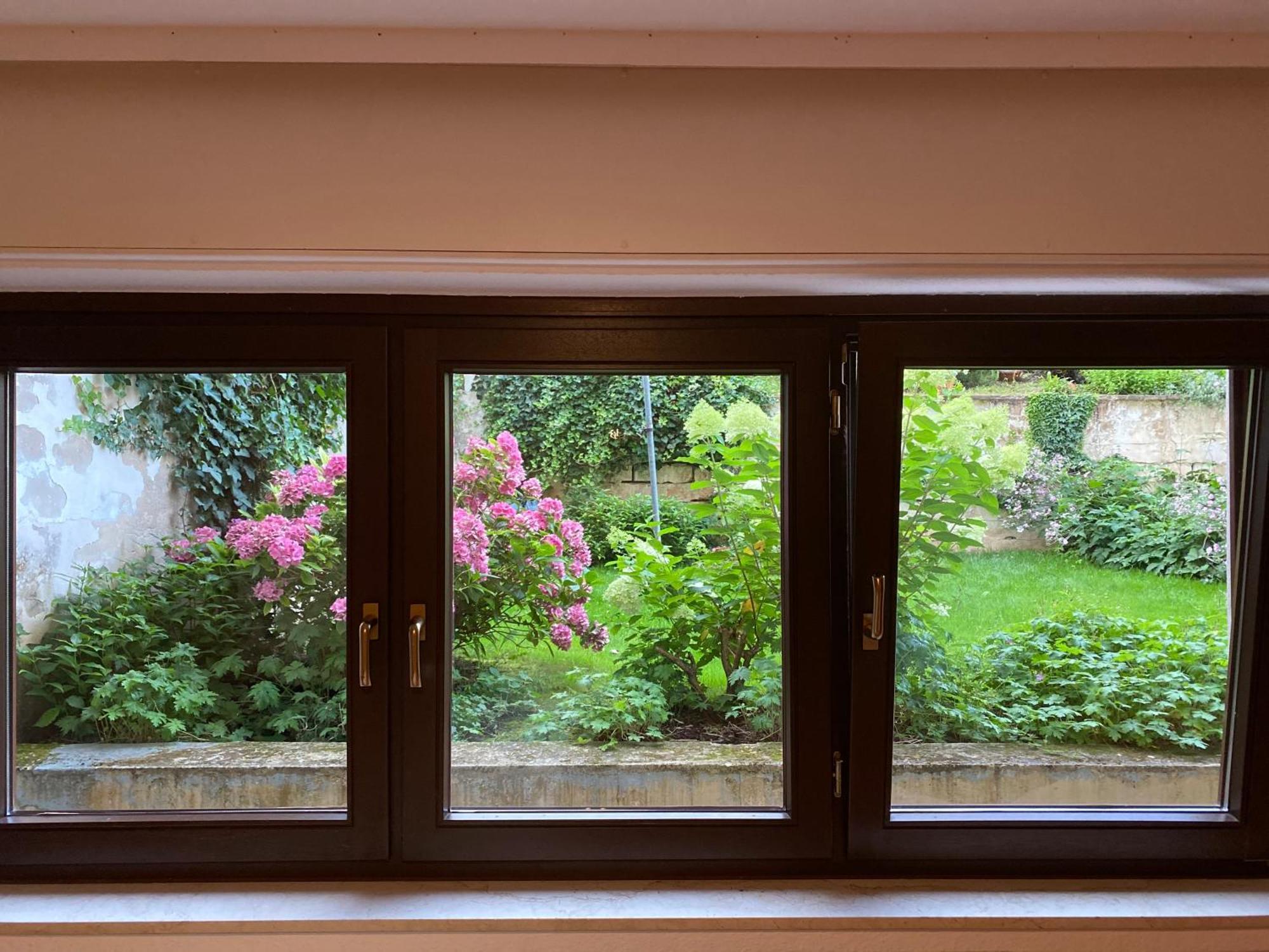 Apartmenthaus Eurenerstrasse 179 Trier Kültér fotó