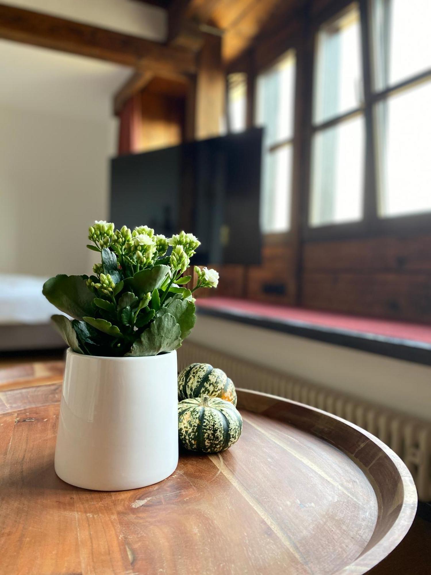Apartmenthaus Eurenerstrasse 179 Trier Kültér fotó