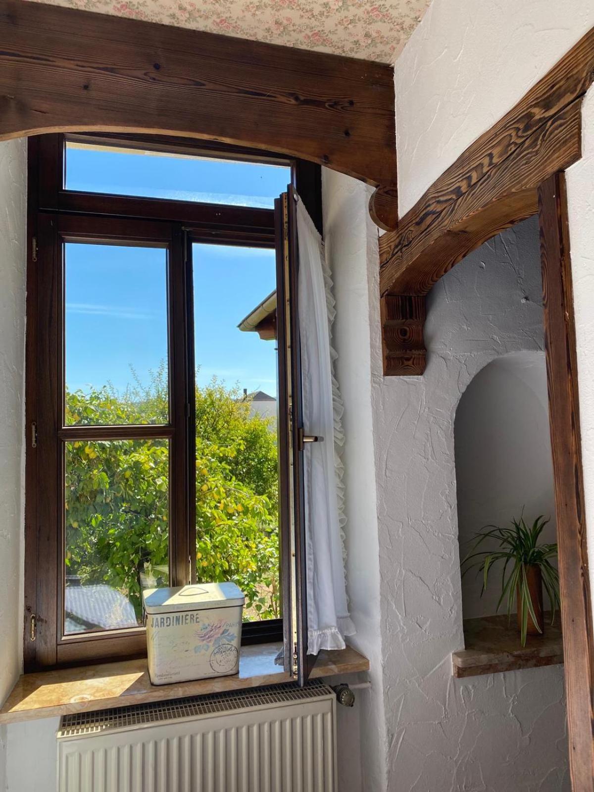 Apartmenthaus Eurenerstrasse 179 Trier Kültér fotó